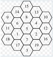 Hexagonal shape cells.jpg